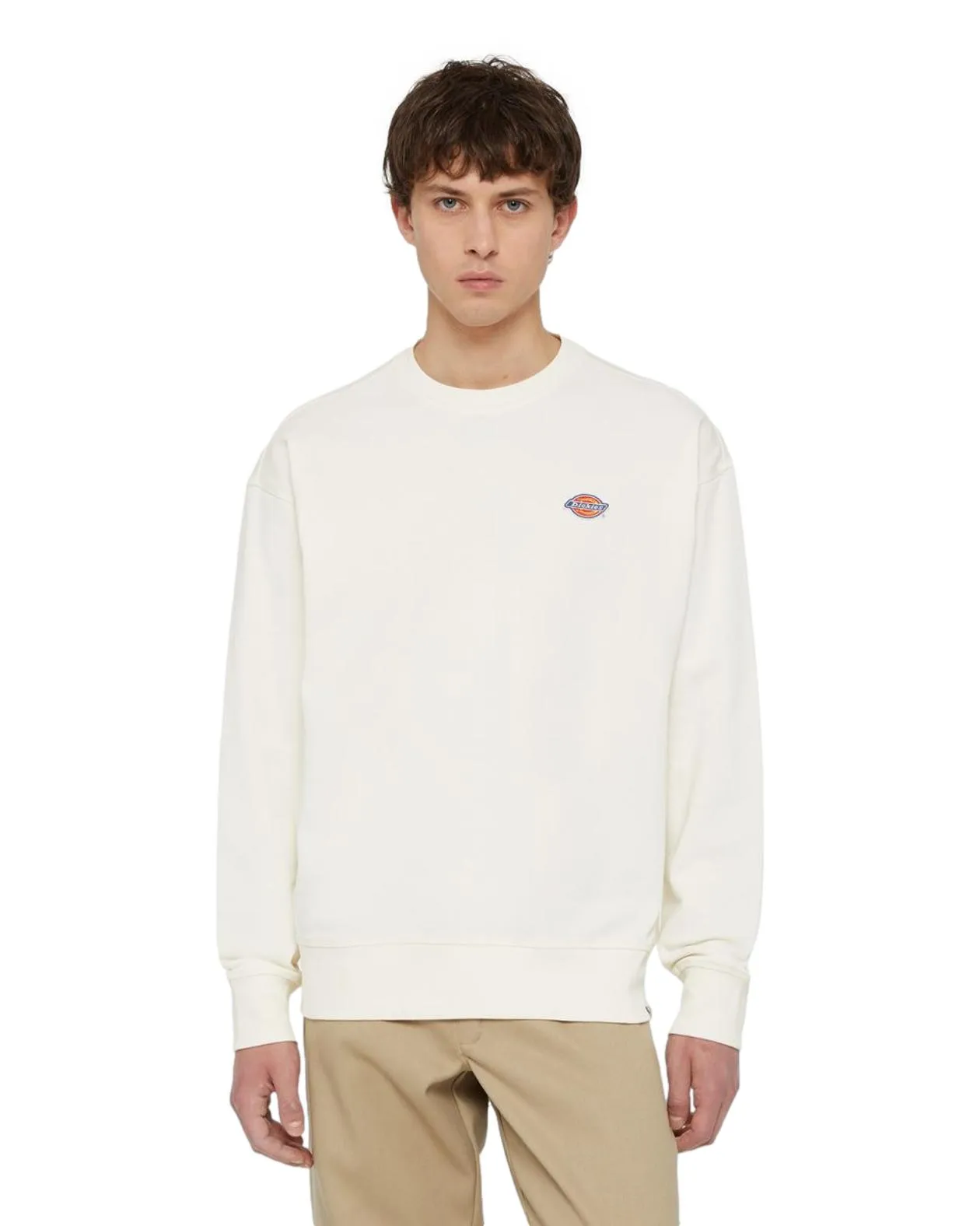 Dickies – Felpa millesburg panna