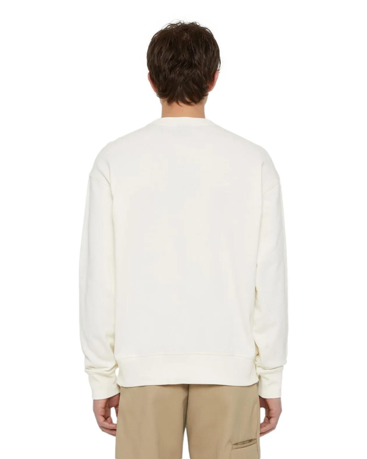 Dickies – Felpa millesburg panna